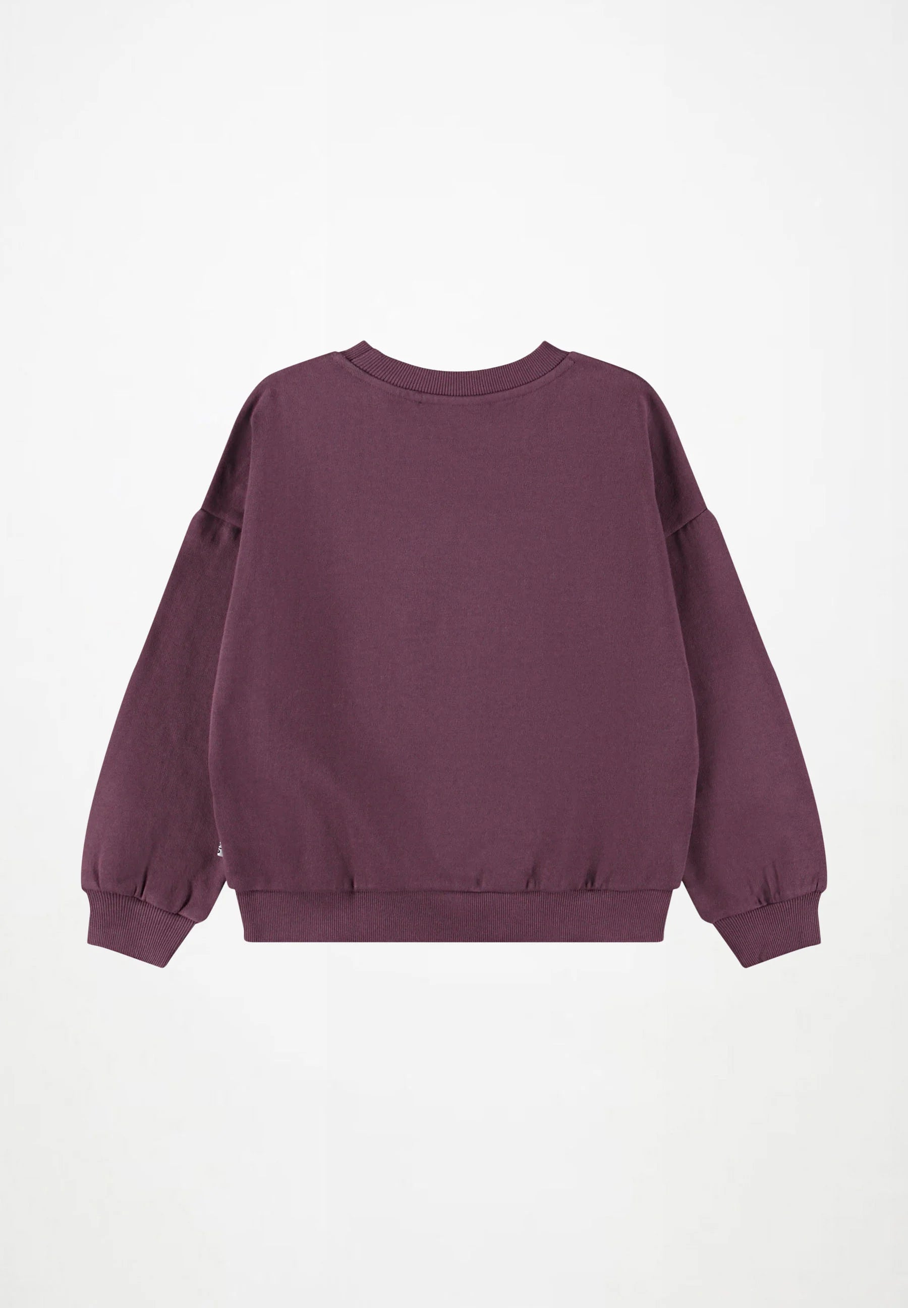 Molo Sweatshirt Maxi Sporty Tiger