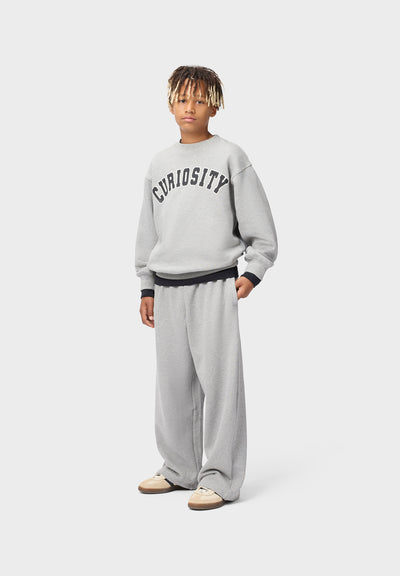 Molo Sweatshirt Magni
