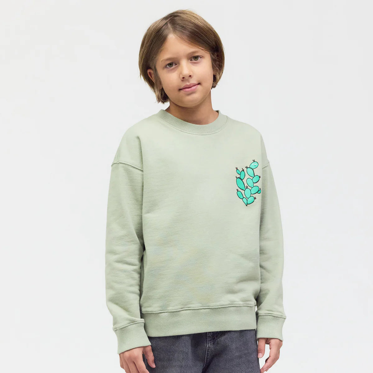 PLAYPLAY PAULY Checker Tobi  Sweatshirt Regenwurm