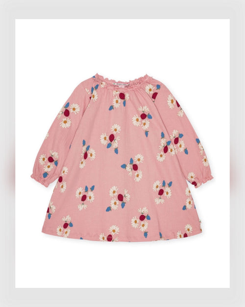 Konges Sløjd Kleid Chleo Ladybug