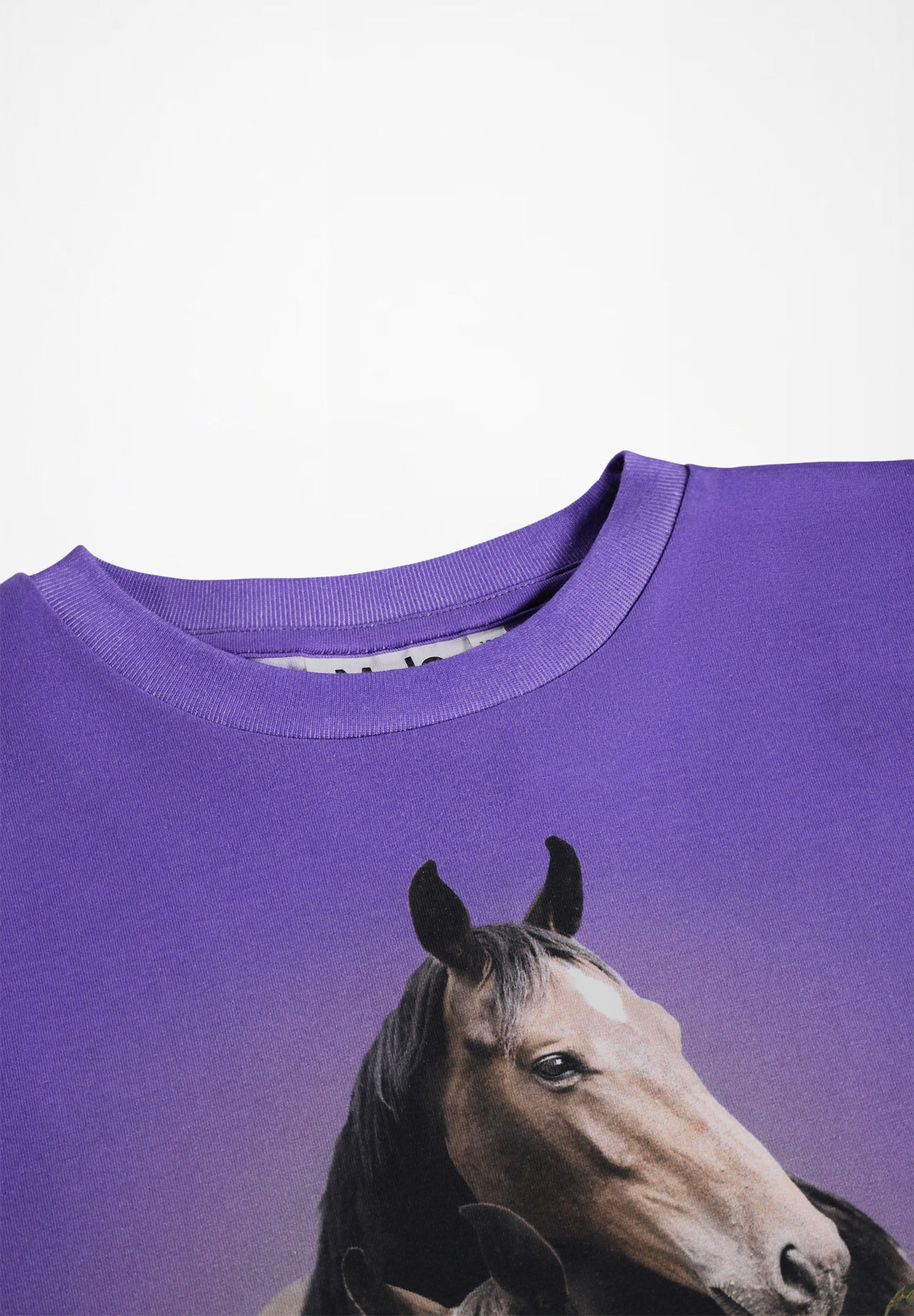 Molo Shirt Renzie Mystic Horses