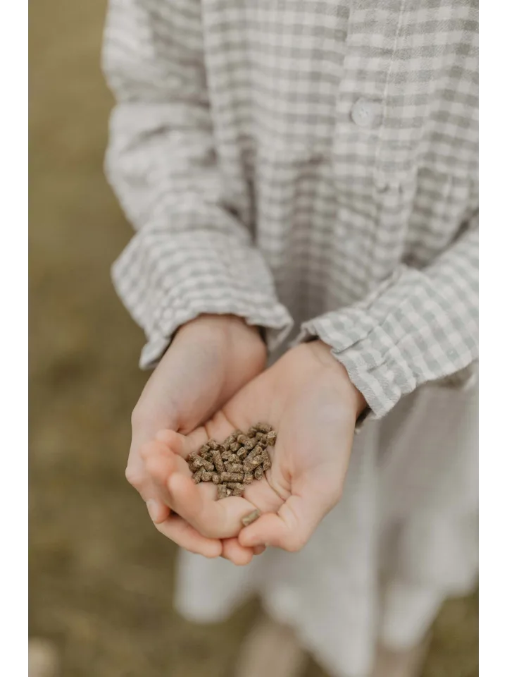 Leevje - Flanellkleid Green kariert