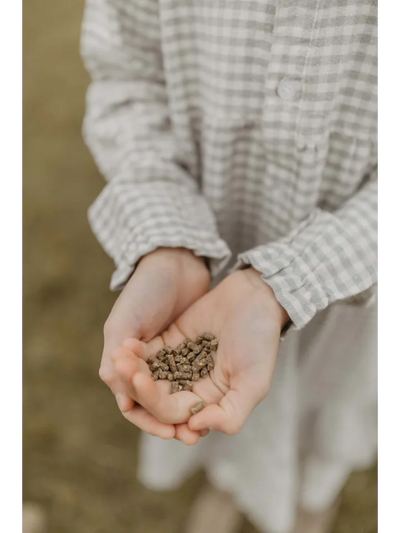 Leevje - Flanellkleid Green kariert